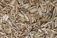 biomass boilers Tressait